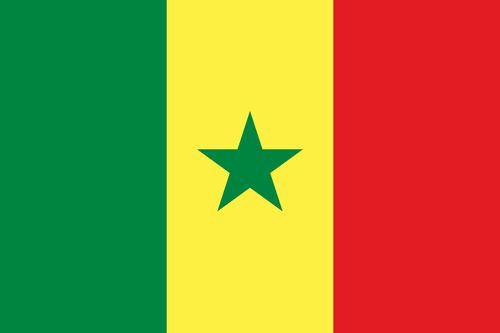 세네갈 국기.jpg